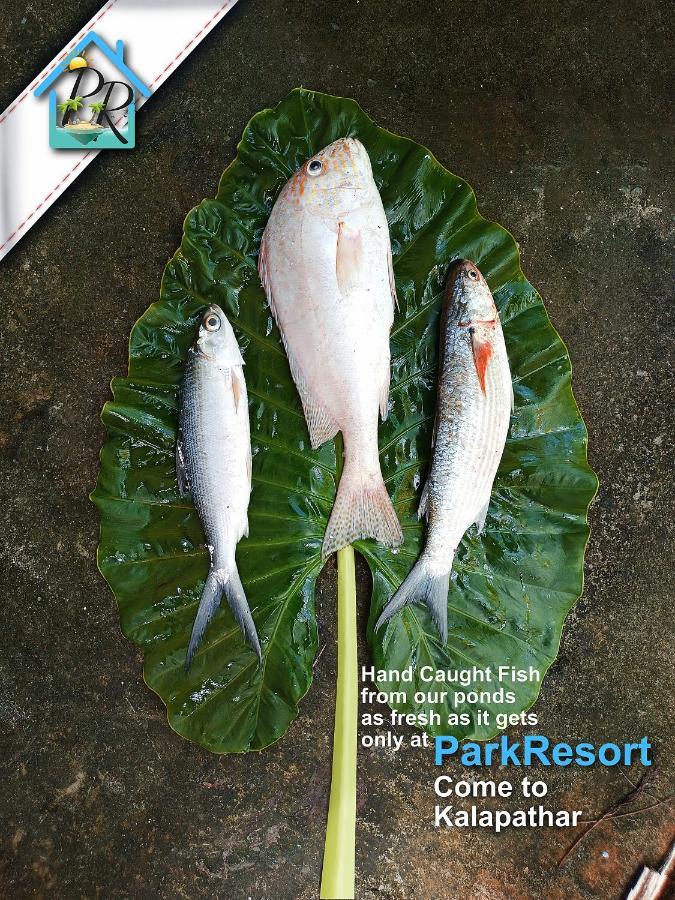 Parkresort - Organic Farm Resort Kala Pathar Beach ภายนอก รูปภาพ